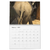 Hintern-Kalender 2025 Kalender (Feb 2027)