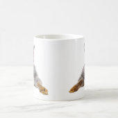 Hintern Schwanz Niedlich Kaninchen Tasse (Mittel)