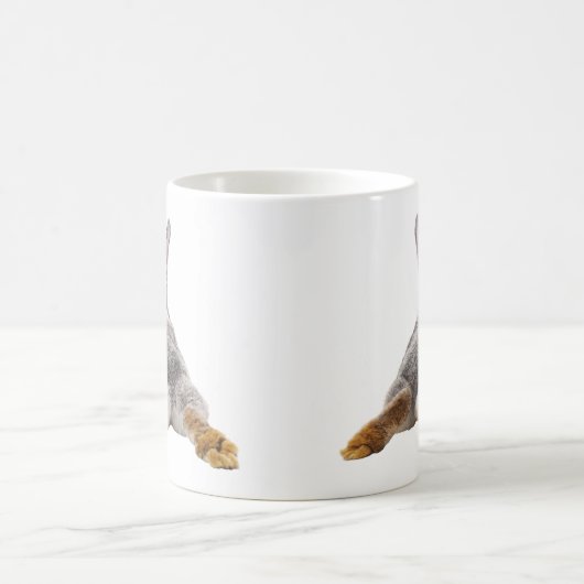 Hintern Schwanz Niedlich Kaninchen Tasse (Mittel)