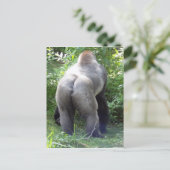 Hinterseite von Gorilla Postkarte (Stehend Vorderseite)
