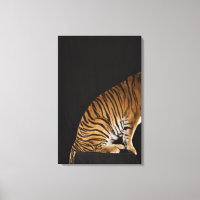 Hinterteil des Tigers auf Plattform