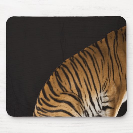 Hinterteil des Tigers auf Plattform Mousepad (Vorne)