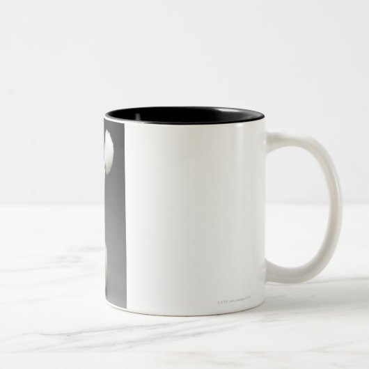 Hinterteile des Pudels, auf grauem Hintergrund Zweifarbige Tasse (Rechts)