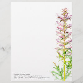 Hinterteilrosagrün-Aquarell-Kunstbriefkopf des Briefkopf