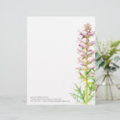 Hinterteilrosagrün-Aquarell-Kunstbriefkopf des Briefkopf (Stehend Vorderseite)