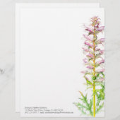 Hinterteilrosagrün-Aquarell-Kunstbriefkopf des Briefkopf (Vorne/Hinten)