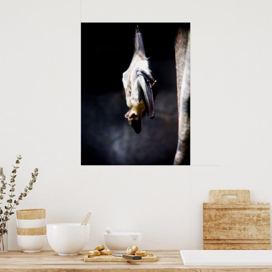 Hinwegziehen Poster (Küche)