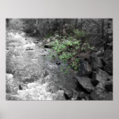 Hinweis auf Grün Poster (Vorne)