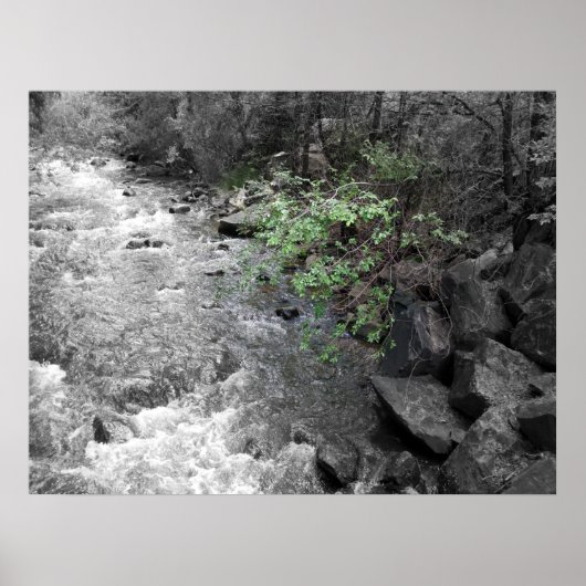 Hinweis auf Grün Poster (Vorne)