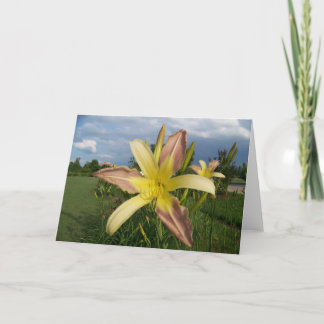 Hinweis Card Daylillies Karte