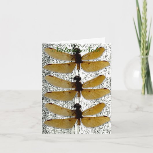 HINWEIS FÜR DAS FOTO DRAGONFLY LEAF (Vorderseite)