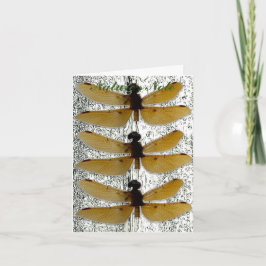 HINWEIS FÜR DAS FOTO DRAGONFLY LEAF