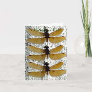 HINWEIS FÜR DAS FOTO DRAGONFLY LEAF