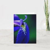 Hinweis für die blaue Flagge Iris-Blume Karte (Vorderseite)