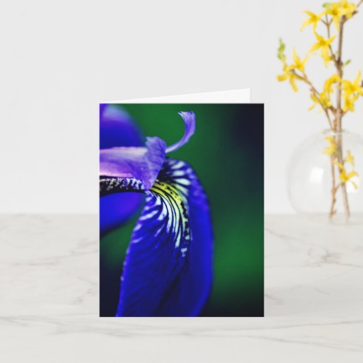 Hinweis für die blaue Flagge Iris-Blume Karte (Gelbe Blume)