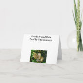 Hinweis für Trockenlegelbesatz Karte (Rückseite)