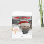 Hinweis Karte Deutscher Schäferhund Santa Stopp Hi (Rückseite)