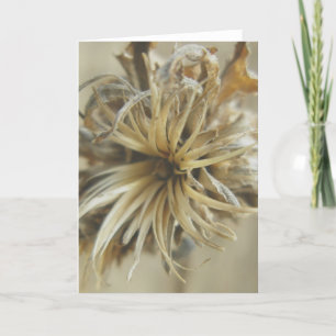 Hinweis-Karte für die getrocknete Blume Feiertagskarte