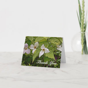 HINWEIS KARTE/TRILLIUM/FOTOG./DIG.MANIP/PAINTERLY  KARTE