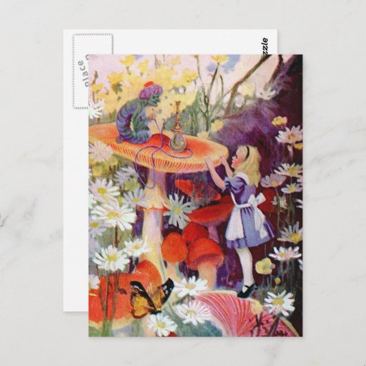 HINWEISE AUS EINER RAUPE POSTKARTE (Vorne/Hinten)