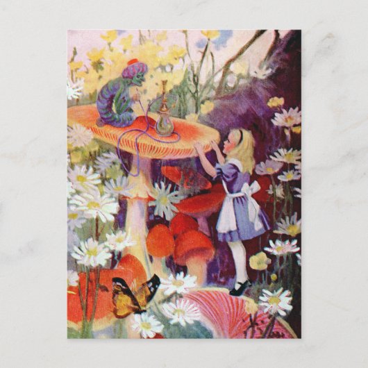 HINWEISE AUS EINER RAUPE POSTKARTE (Vorderseite)