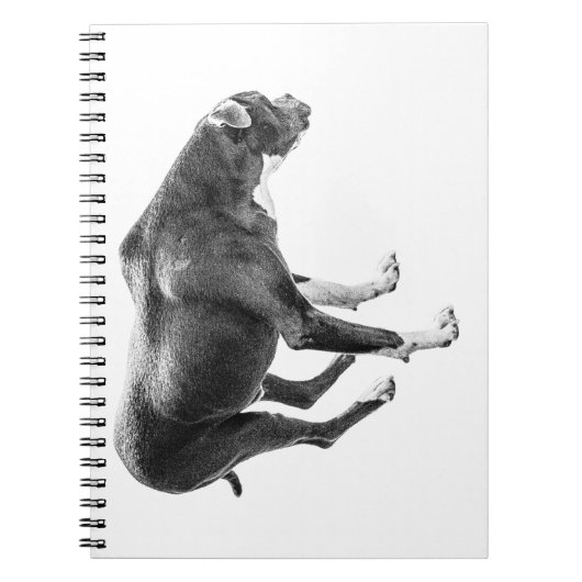 Hinweise für Herbst Notizblock (Vorderseite)