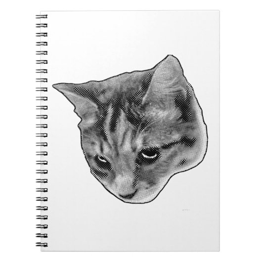 Hinweise unter den beobachteten Augen Notizblock (Vorderseite)