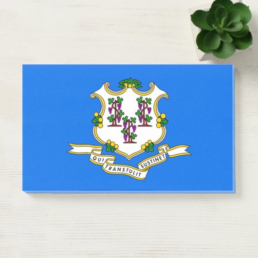 Hinweise unter der Flagge von Connecticut, USA Post-it Klebezettel (Büro)