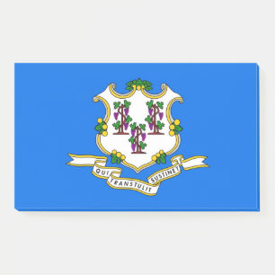 Hinweise unter der Flagge von Connecticut, USA Post-it Klebezettel