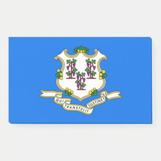 Hinweise unter der Flagge von Connecticut, USA Post-it Klebezettel (Vorderseite)
