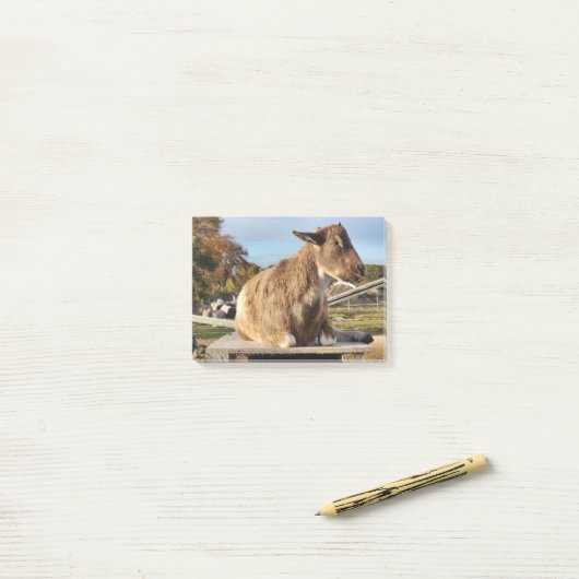 Hinweise "Ziege" Post-it Klebezettel (Auf Schreibtisch)