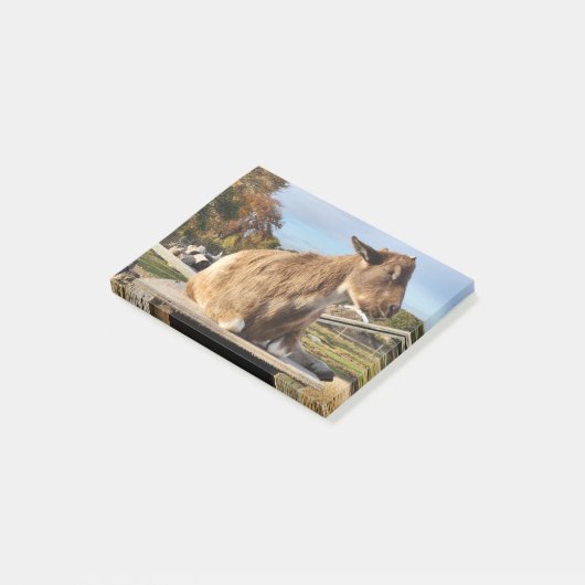 Hinweise "Ziege" Post-it Klebezettel (angewinkelt)