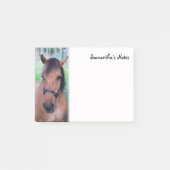 Hinweise zu Pferden Post-it Klebezettel (Vorderseite)