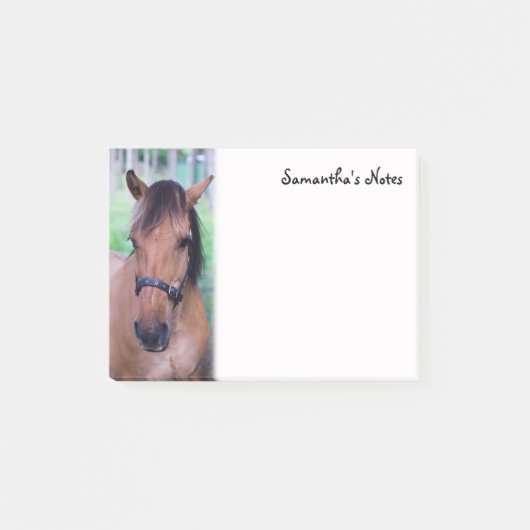 Hinweise zu Pferden Post-it Klebezettel (Vorderseite)