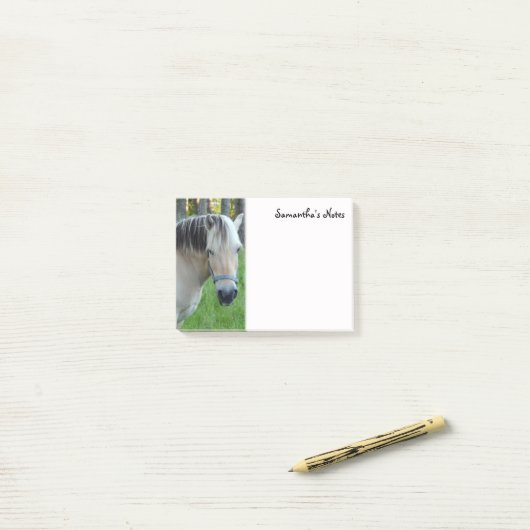 Hinweise zu Pferden Post-it Klebezettel (Auf Schreibtisch)