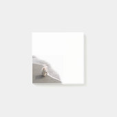 Hinweise zum Beachcoming Westie Foto 3x3 Post-it Klebezettel (Vorderseite)