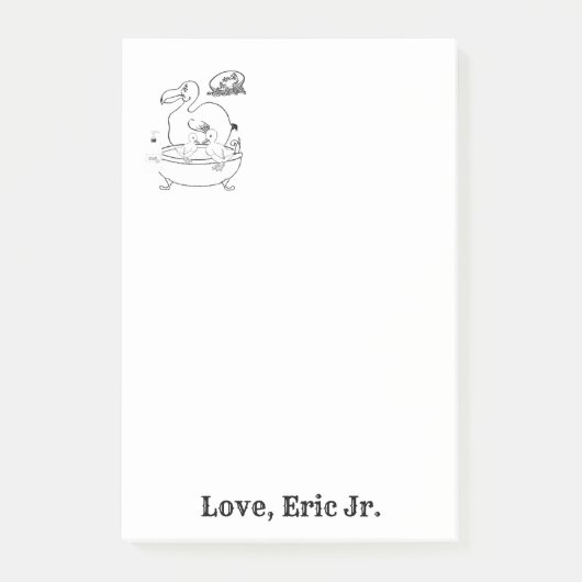 Hinweise zum Färben von Vögeln Post-it Klebezettel (Vorderseite)