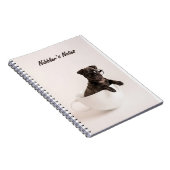 Hinweise zum Nibbler Notizblock (Rechte Seite)