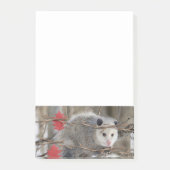 Hinweise zur Opossum-Natur Post-it Klebezettel (Vorderseite)
