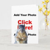 Hinzufügen einer benutzerdefinierten Foto-Grußkart Karte (Gelbe Blume)