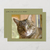 Hinzufügen eines benutzerdefinierten Foto-Thinking Postkarte (Vorne/Hinten)