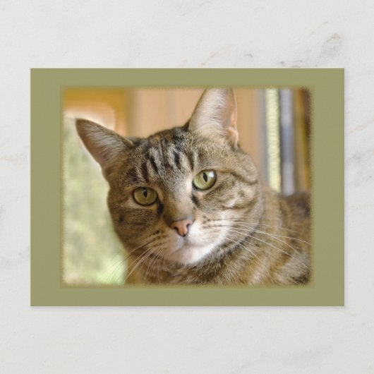 Hinzufügen eines benutzerdefinierten Foto-Thinking Postkarte (Vorderseite)