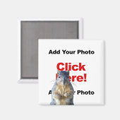 Hinzufügen eines benutzerdefinierten Leiters für E Magnet (Vorderseite/Rückseite)