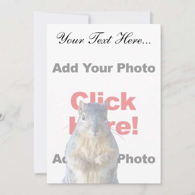 Hinzufügen eines Eichhörnchens (Vorderseite)