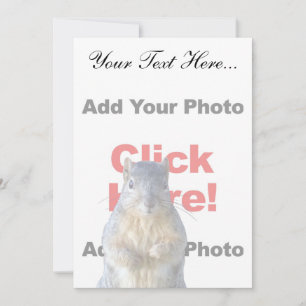 Hinzufügen eines Eichhörnchens