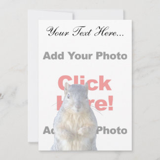 Hinzufügen eines Eichhörnchens