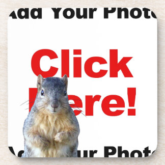 Hinzufügen eines Eichhörnchens Getränkeuntersetzer