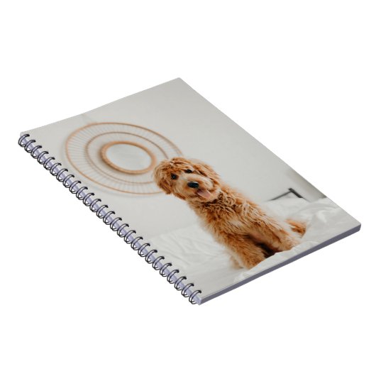 Hinzufügen eines eigenen Foto-Image-Logo-Bildabbil Notizblock (Rechte Seite)