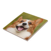 Hinzufügen eines Personalisierten, benutzerdefinie Fliese (Seite)