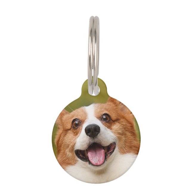 Hinzufügen eines Personalisierten, benutzerdefinie Haustiermarke (Vorderseite)